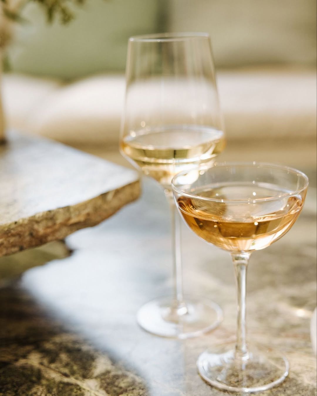 Torresella Wines |  Jan. 26