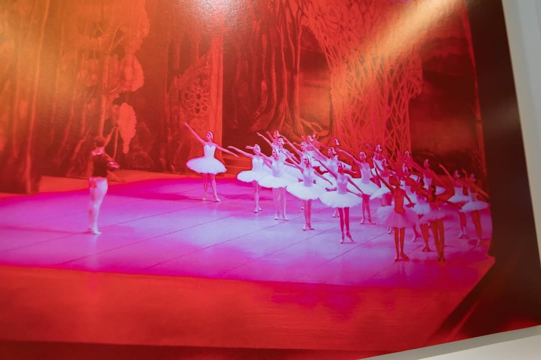 It is not every day that you get to be up close wi...