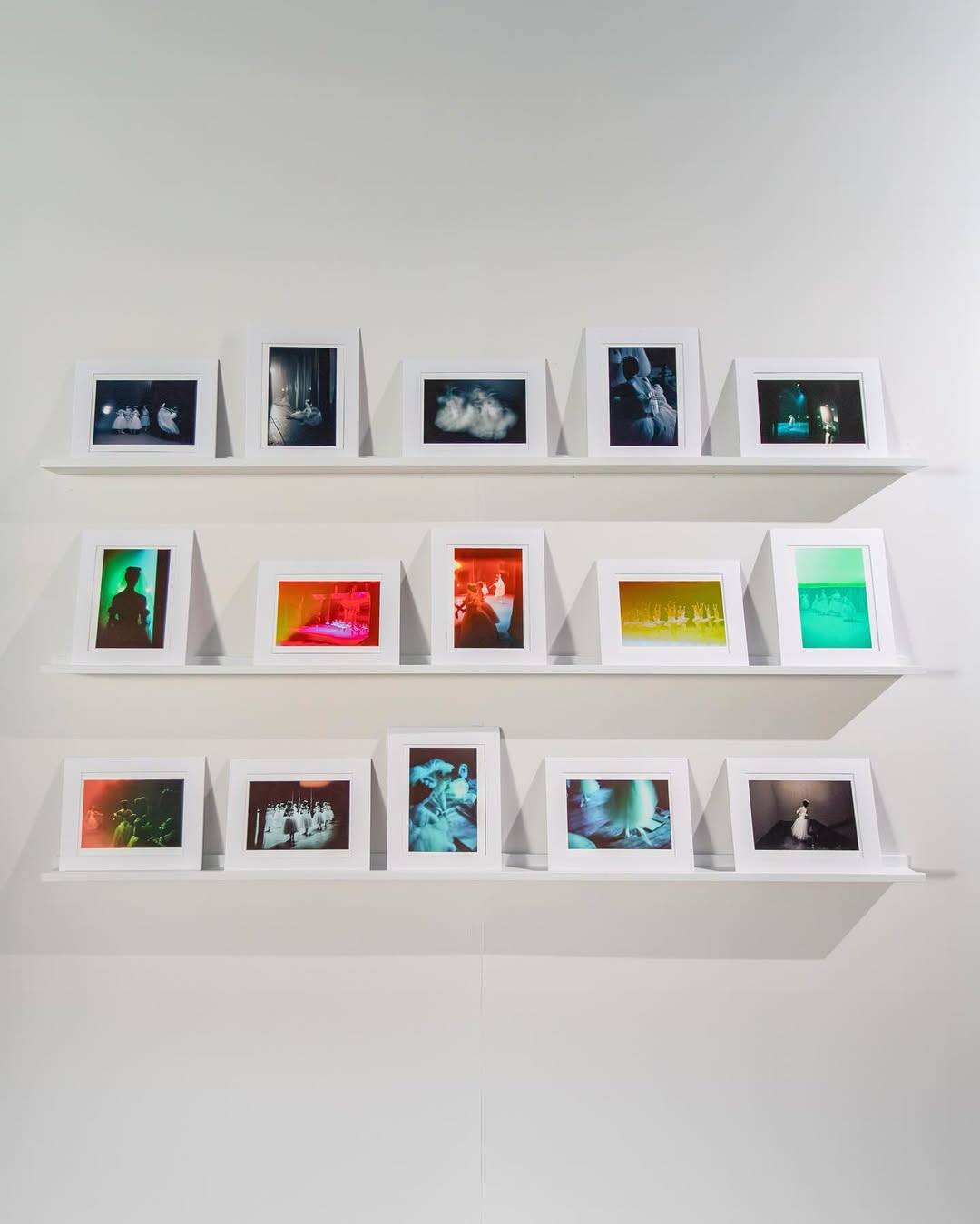 It is not every day that you get to be up close wi...