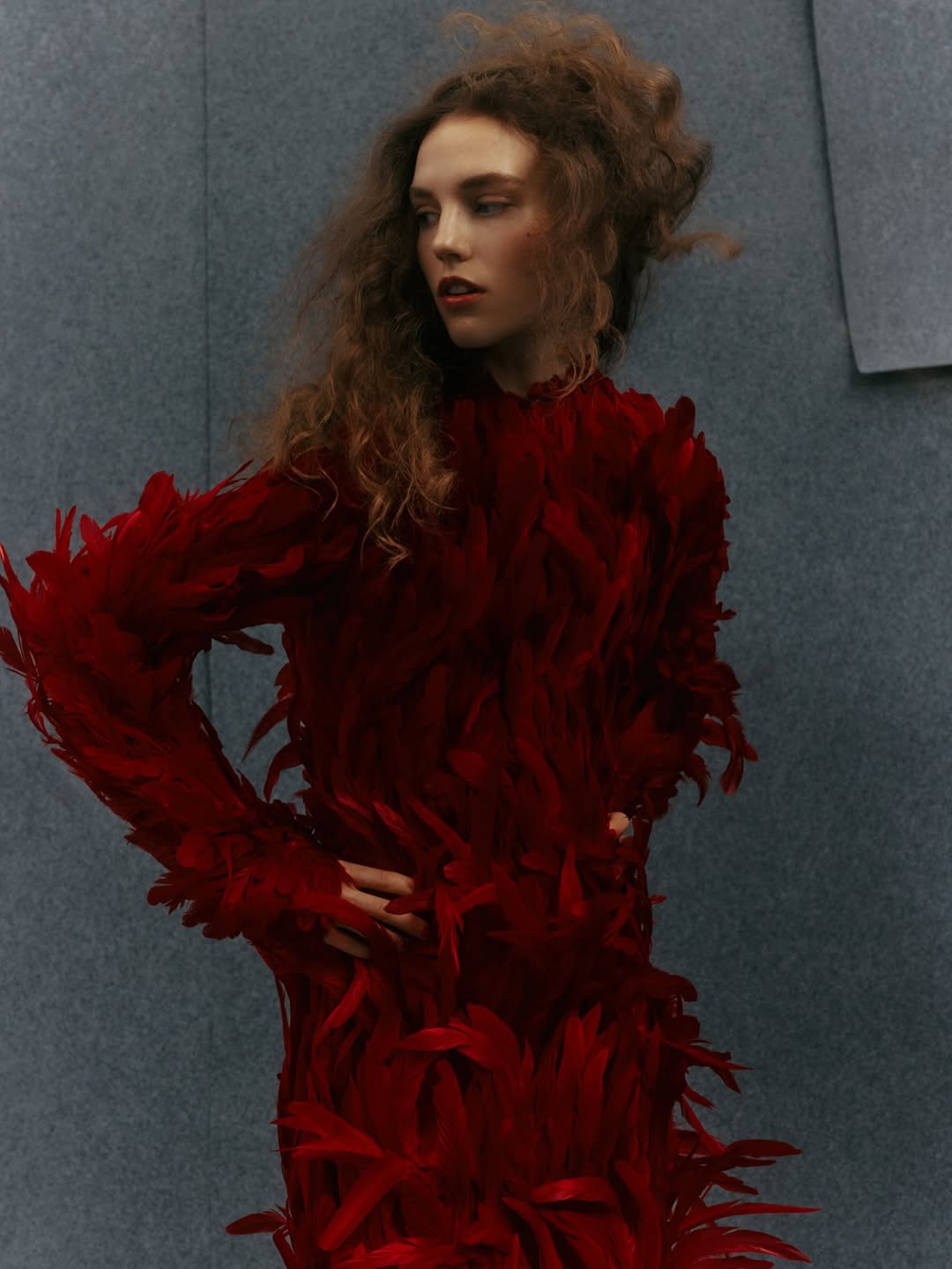Gautier Pellegrin X Amica