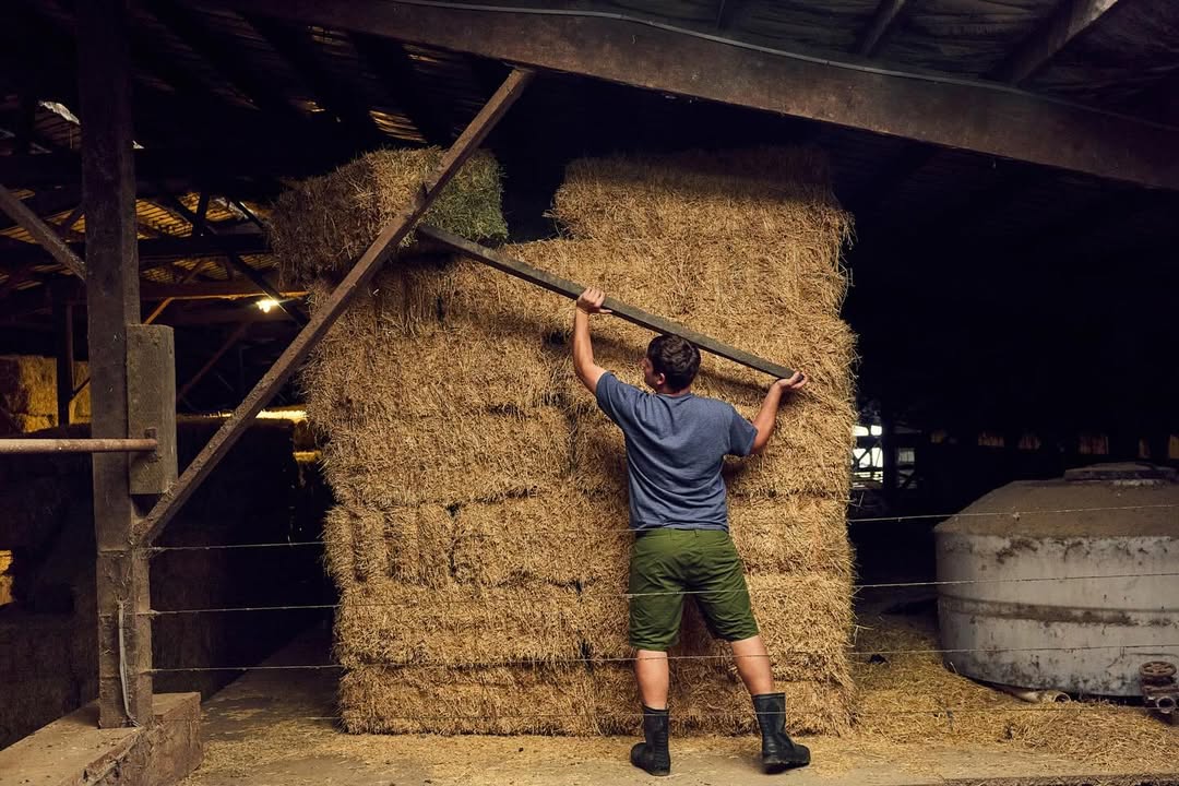 Ryan Young X Tillamook