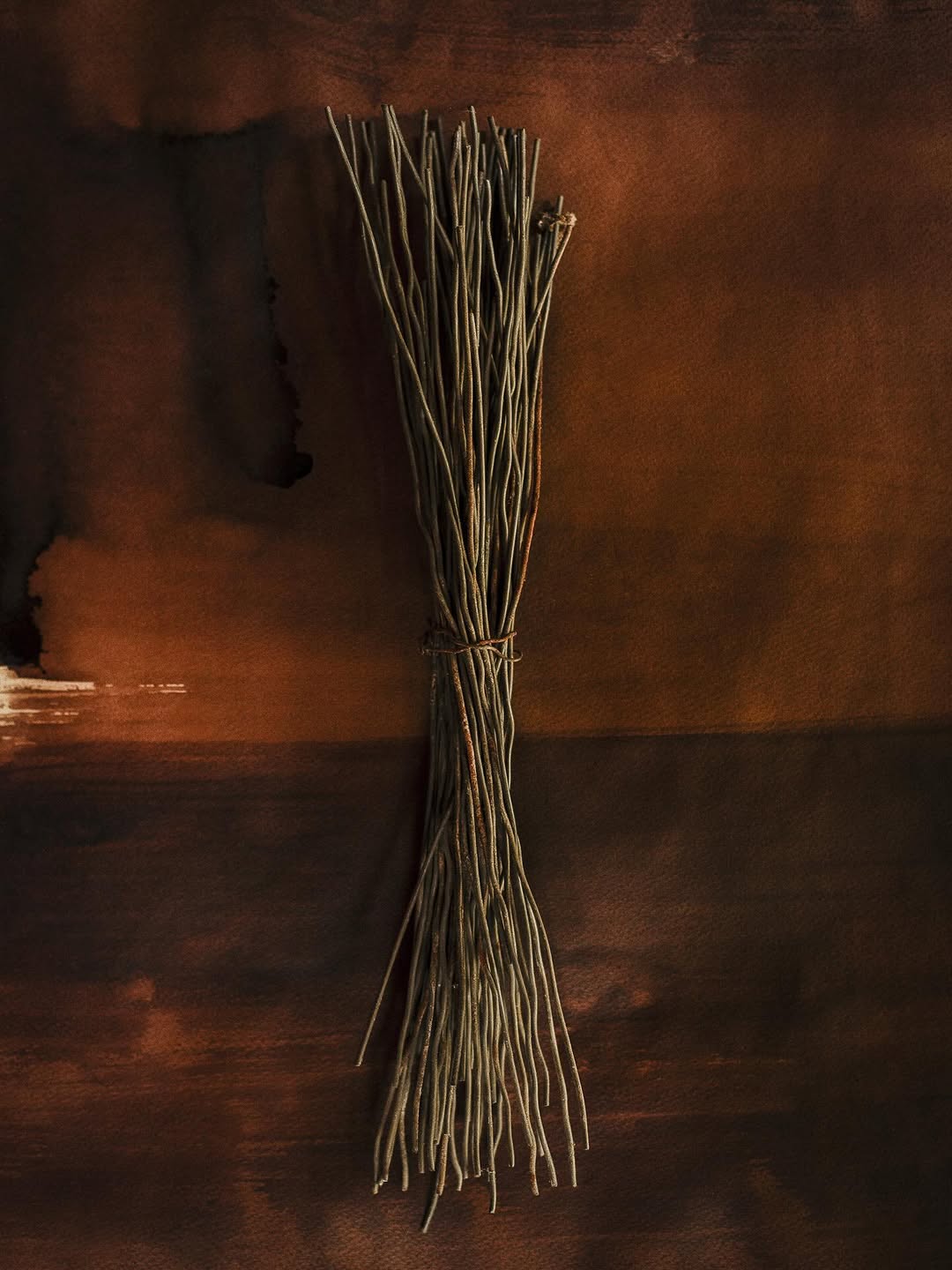 Amélie Chassary X PhotoSaintGermain