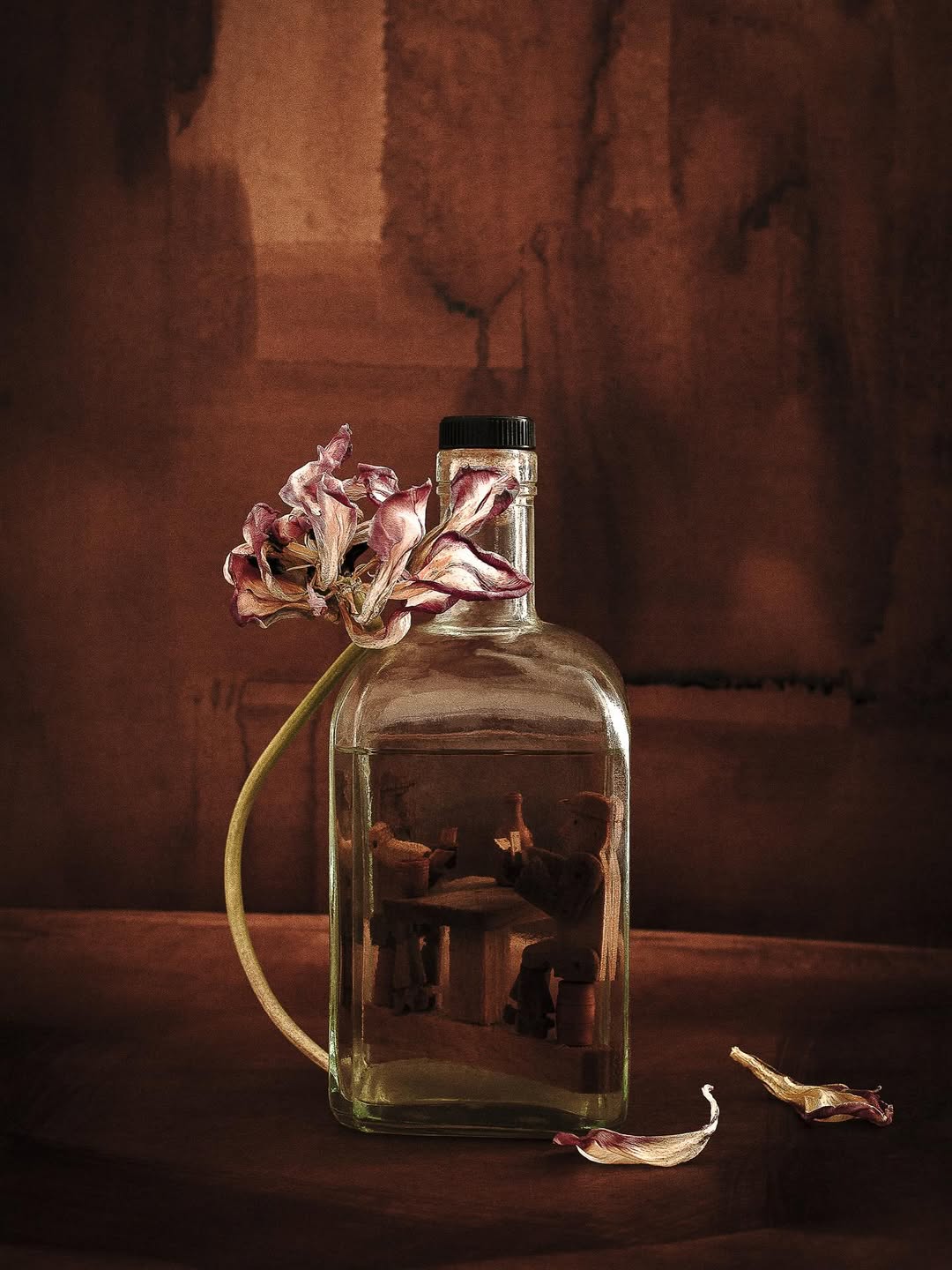 PhotoSaintGermain |  Nov. 25