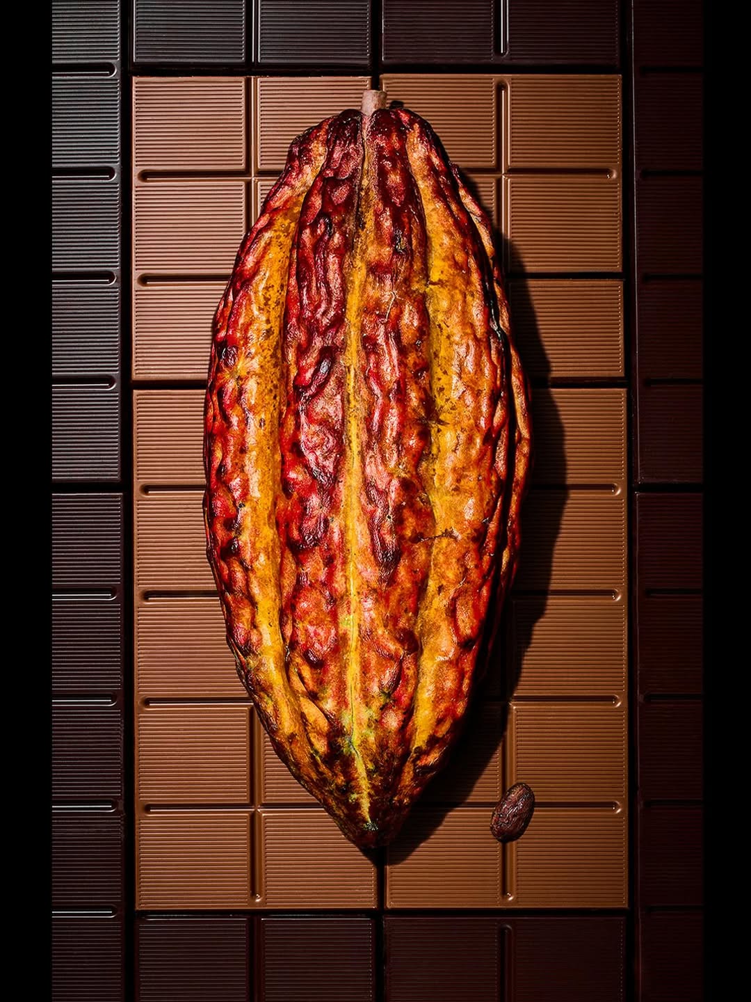 Richard Pullar X Association of Photographers