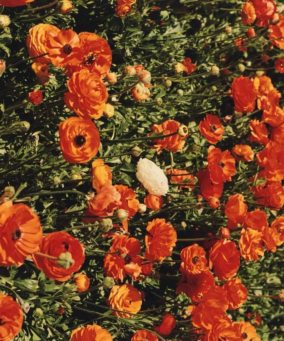  Jul. 25