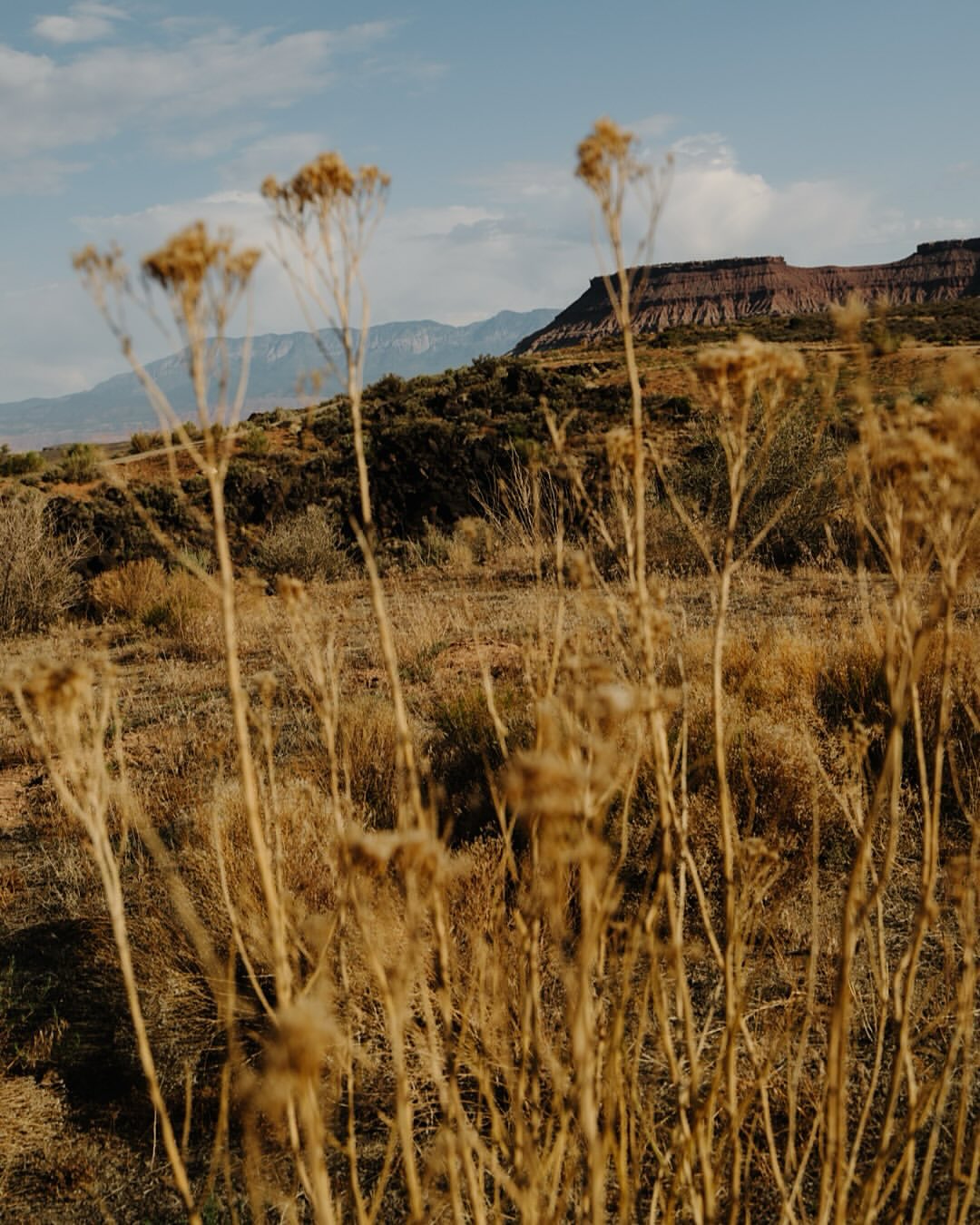 Hidden Rock Development |  Aug. 25