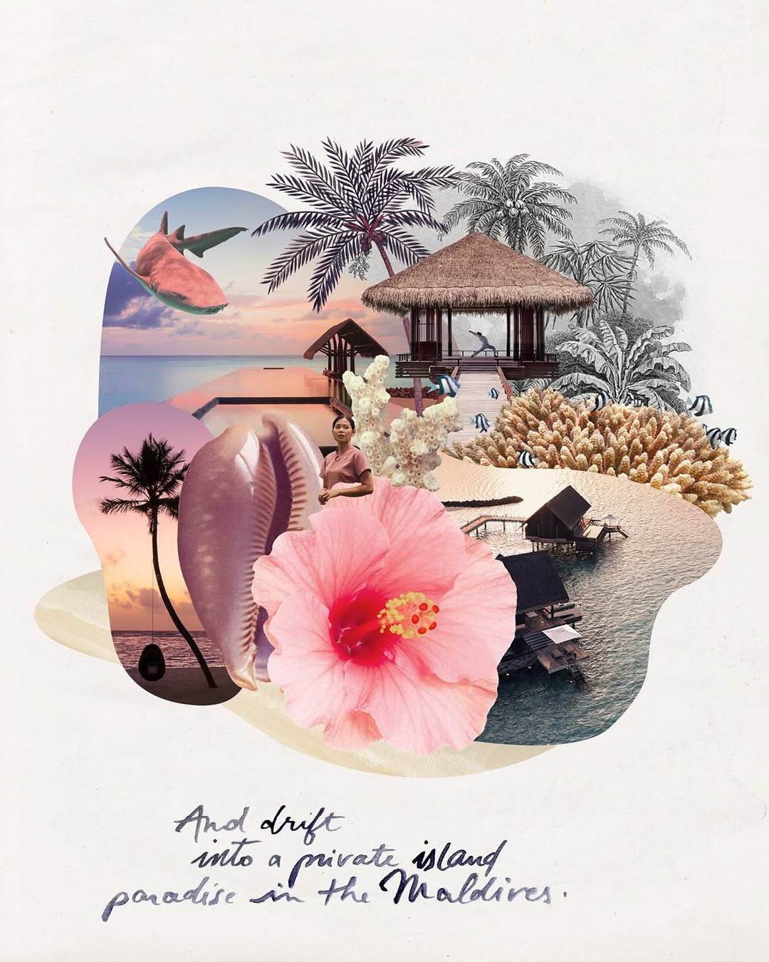 ROAR AFRICA |  Dec. 25