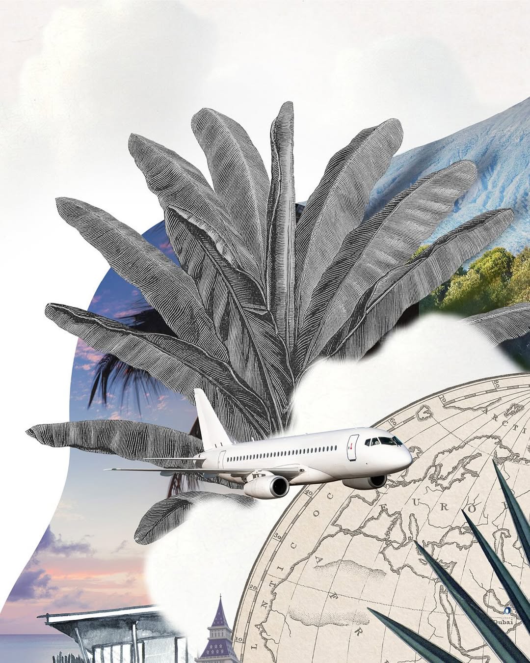 ROAR AFRICA |  Dec. 25