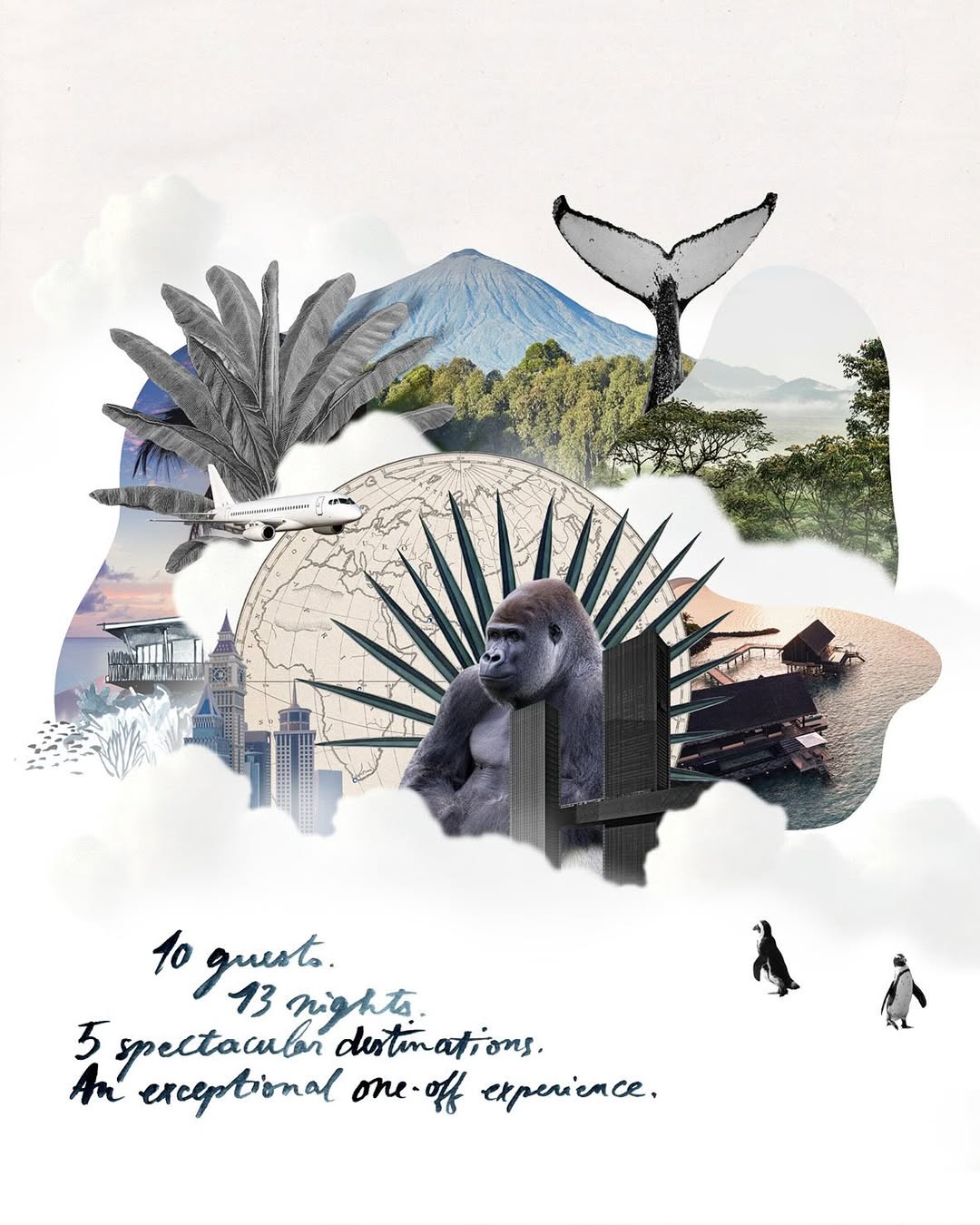 ROAR AFRICA |  Dec. 25