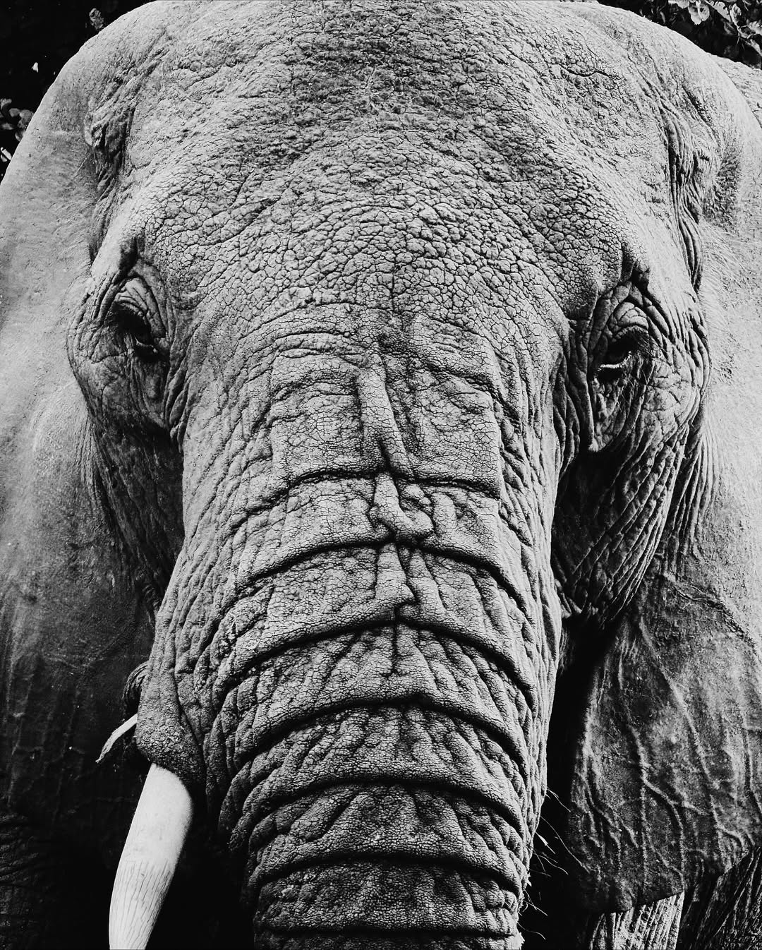 Sam Wong X Intrepid Travel