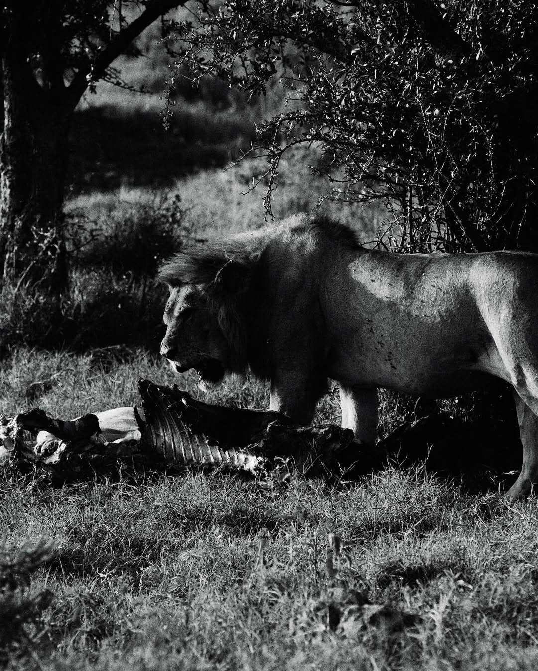 Sam Wong X Intrepid Travel