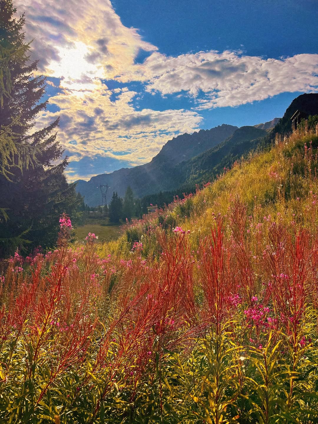 slider image