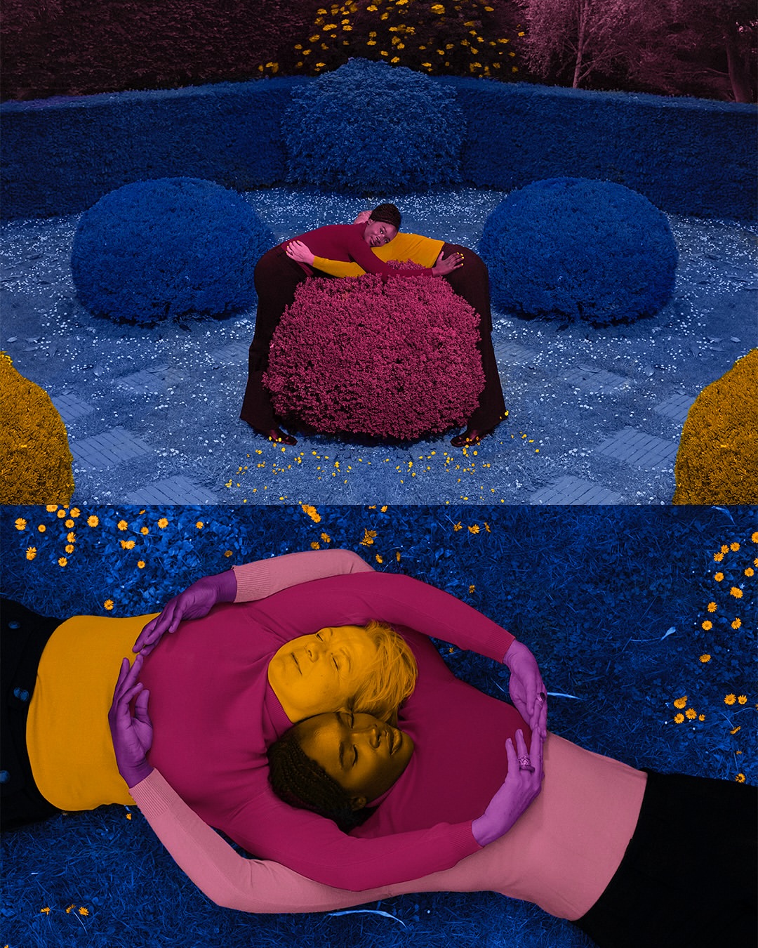 slider image