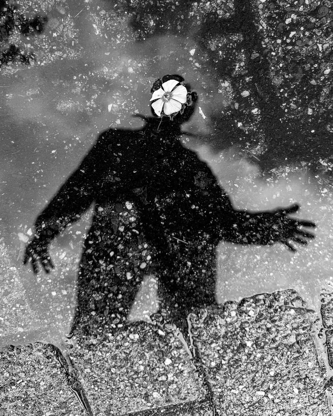 Sarah van Rij & David van der Leeuw