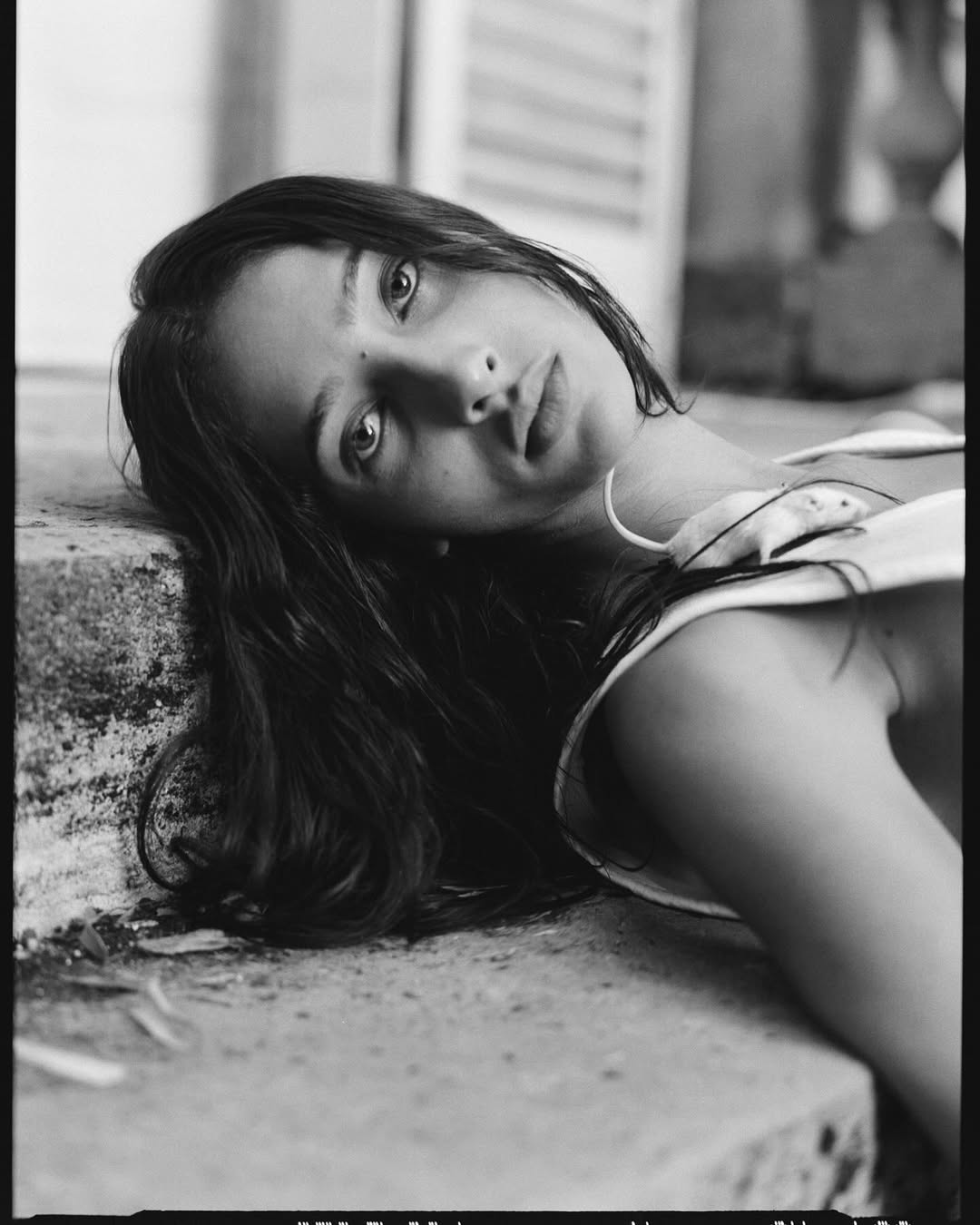 Sebastian Faena