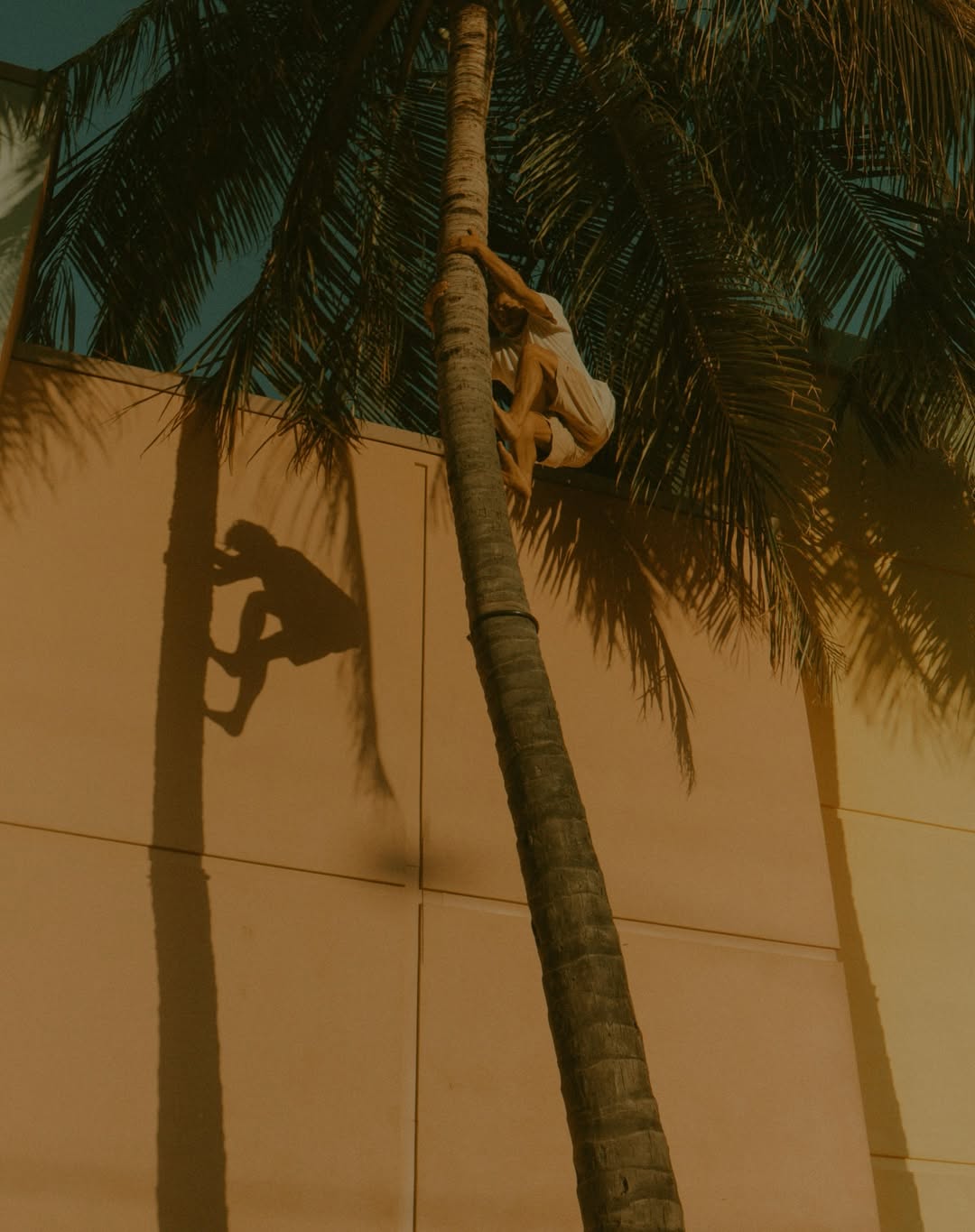 Sebastien Zanella