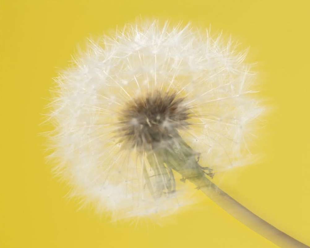 Sergiy Barchuk X Hermès