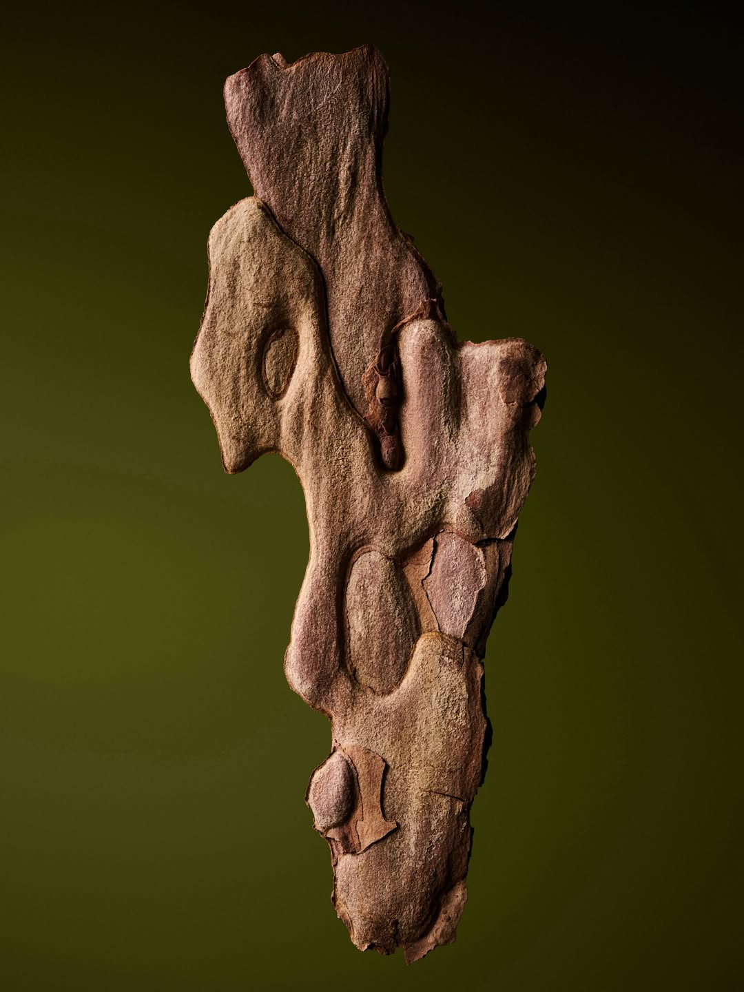 Harel+Ocante X UNDERBUG