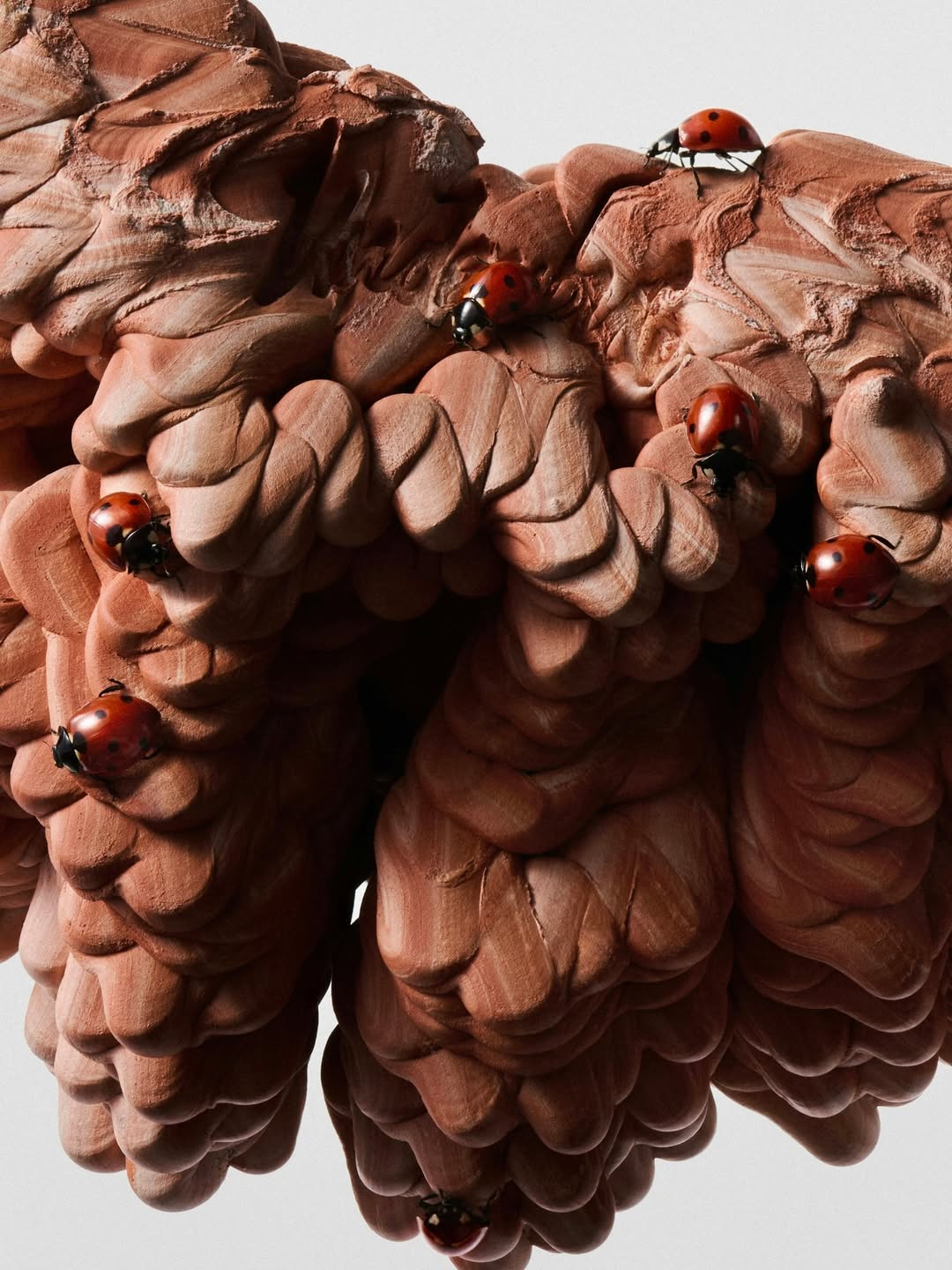 Harel+Ocante X UNDERBUG