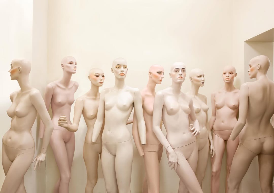 The Observer Magazine |  Nov. 25