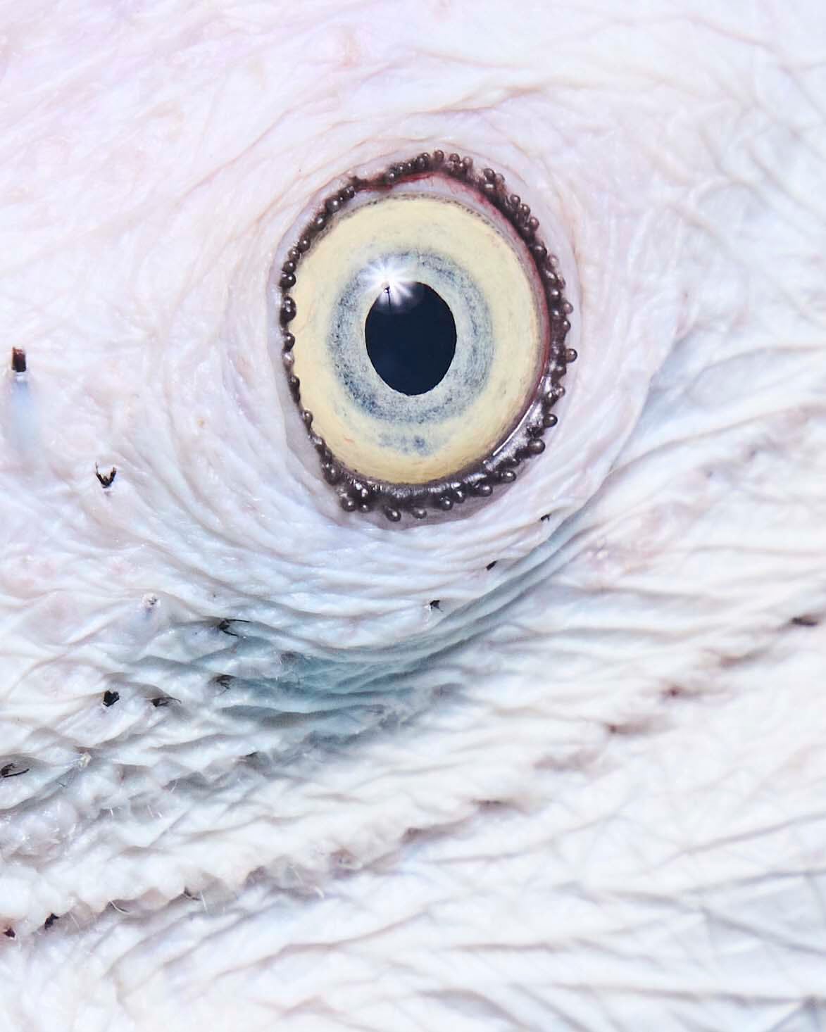  Jul. 25
