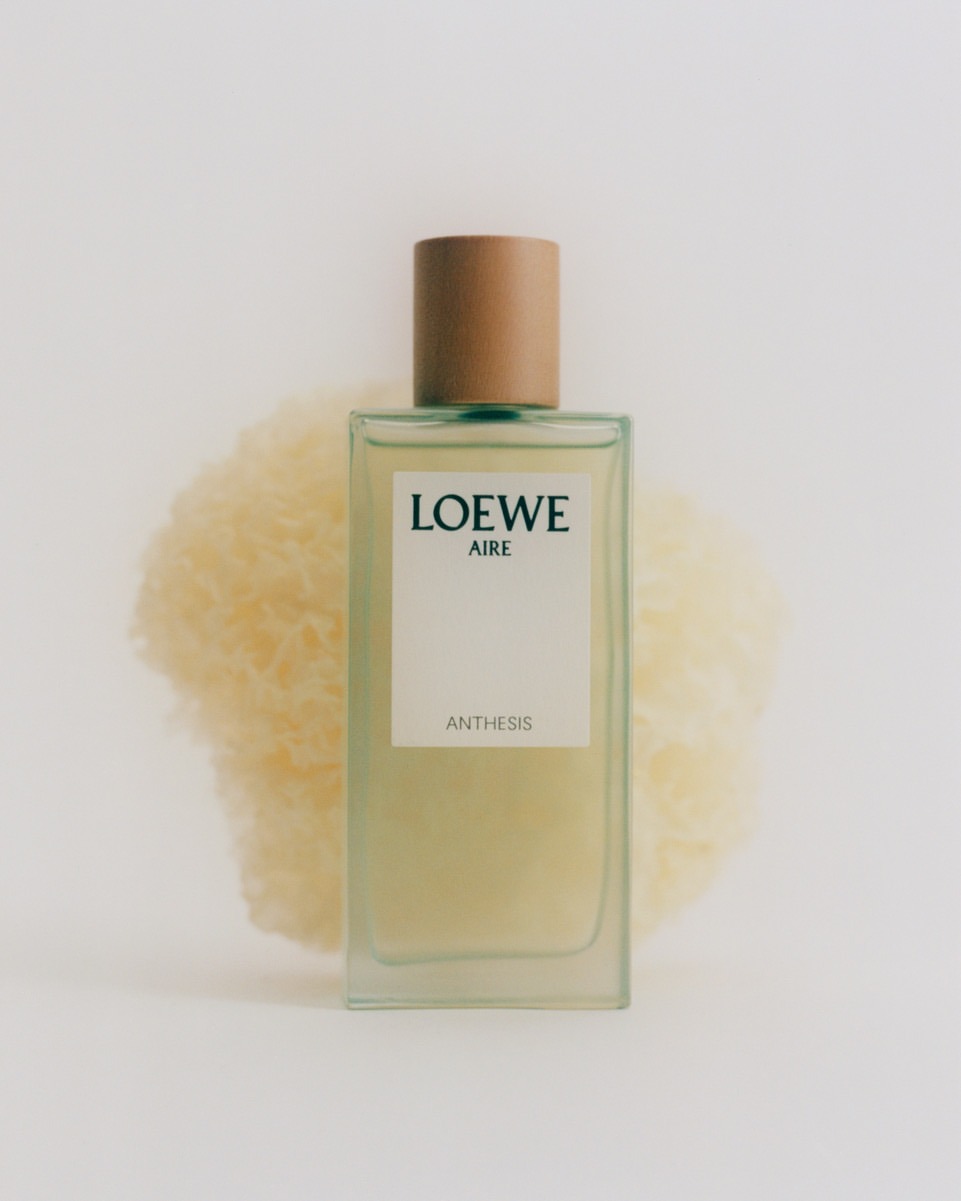 LOEWE Perfumes |  Oct. 25