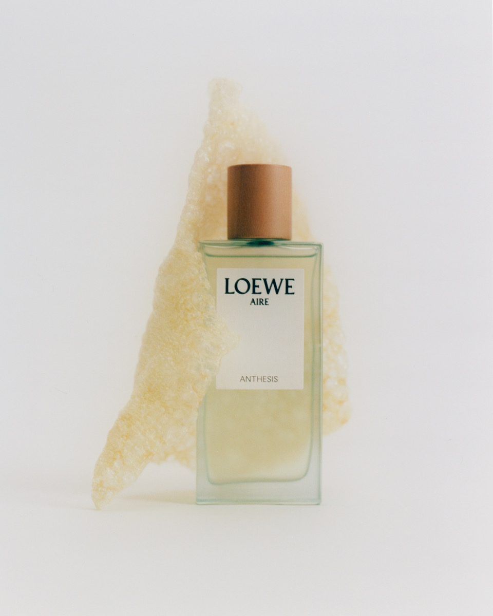 LOEWE Perfumes |  Oct. 25