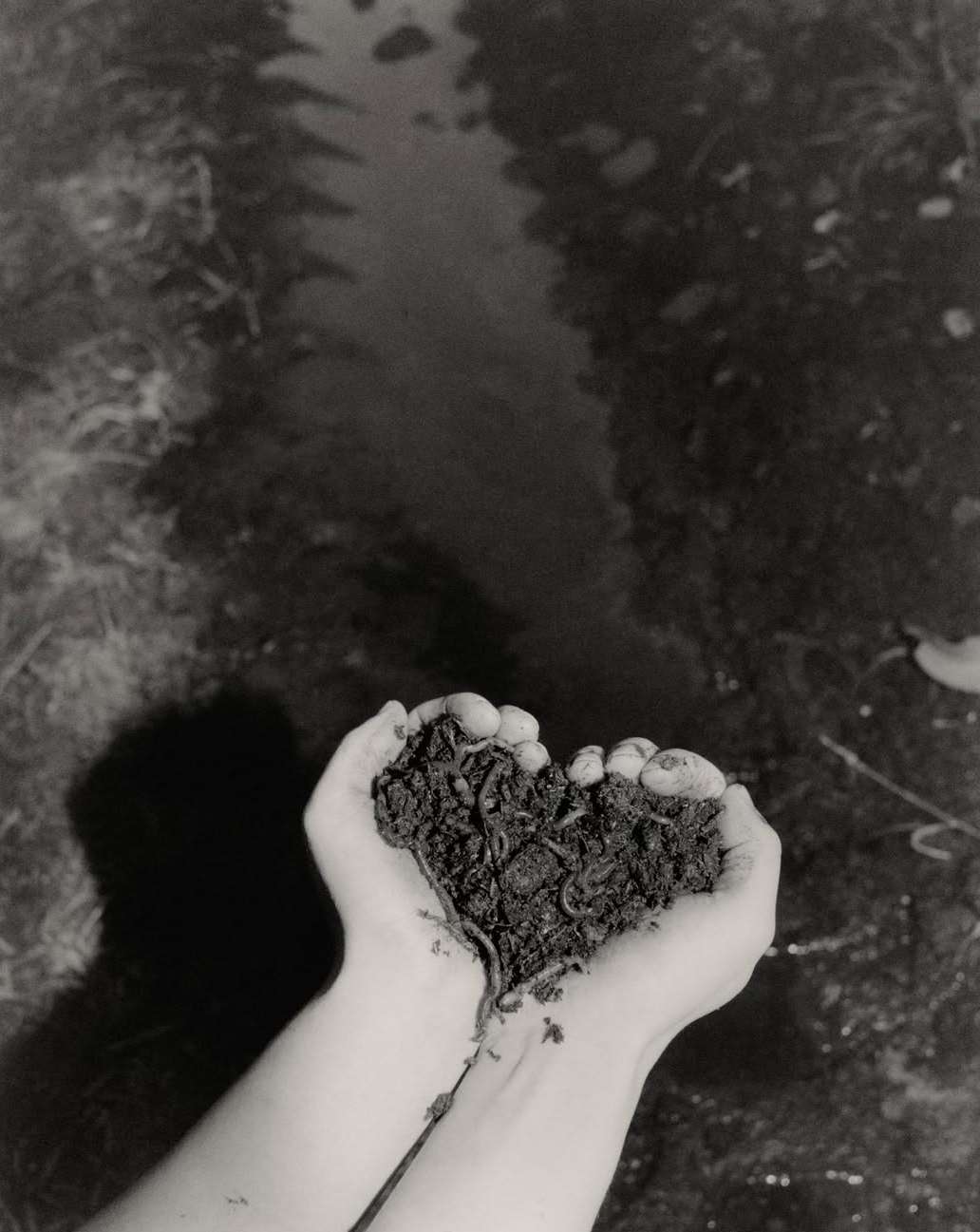 Keith Oshiro X LOCAL OPTIMIST