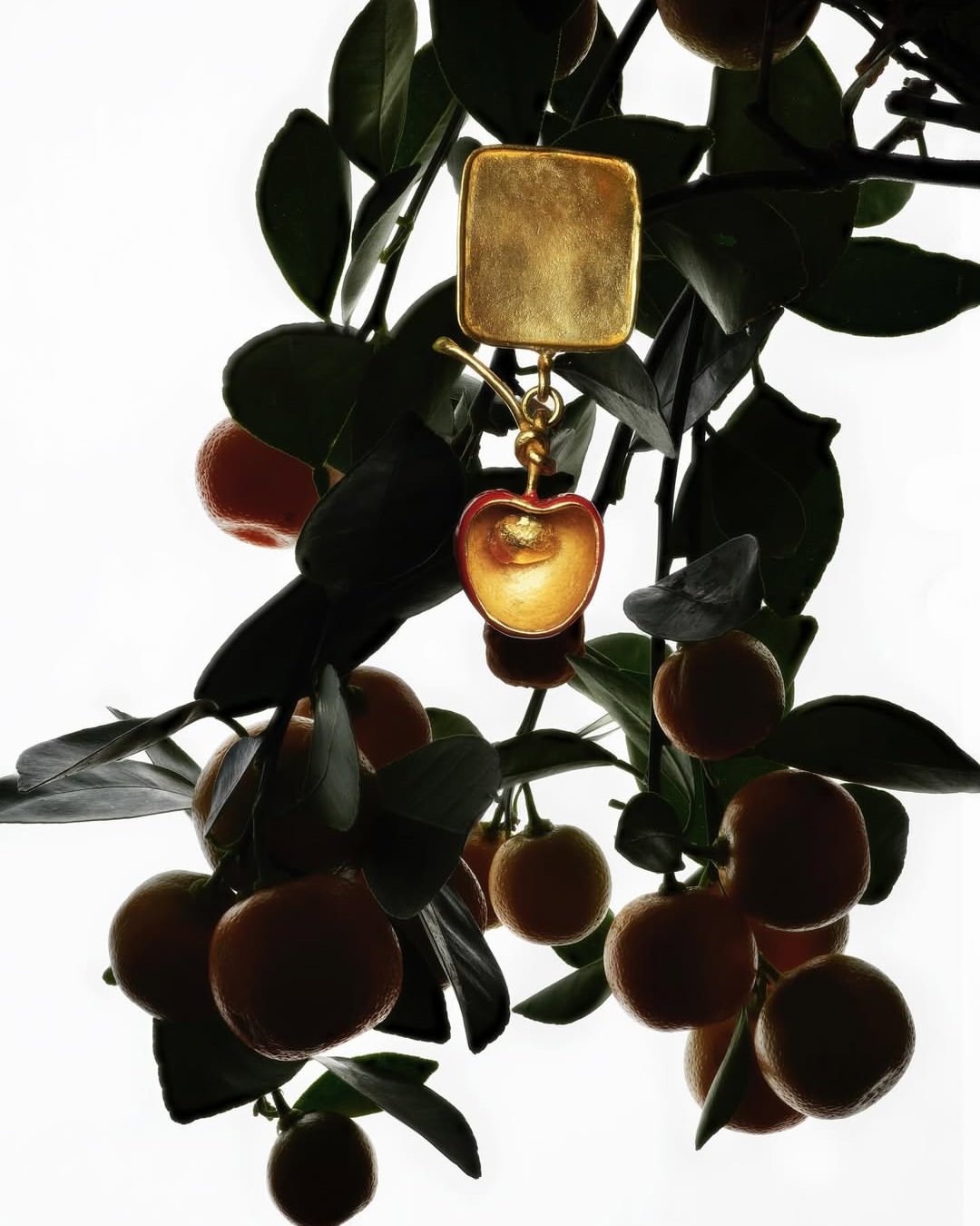 Samuel François Jewelry |  Jul. 25