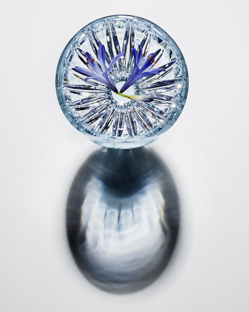 Baccarat |  Sep. 25