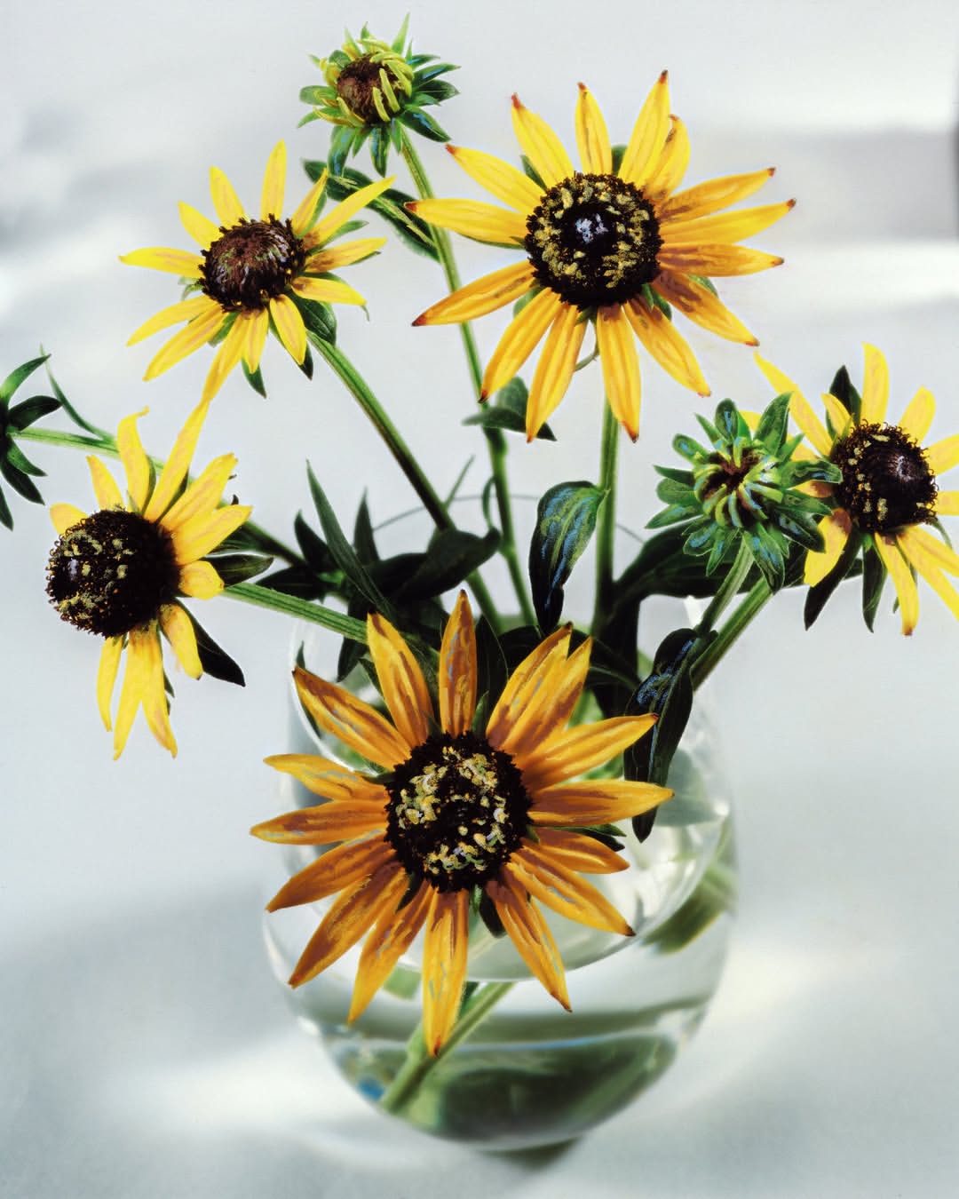 M Le Monde |  Oct. 25