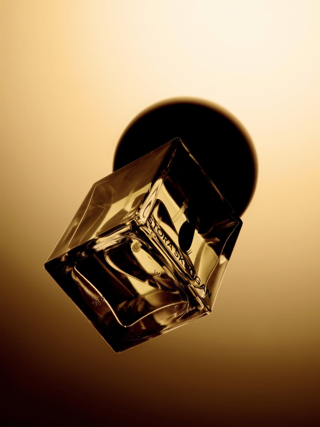 Achille Laplante Le Brun X STORA SKUGGAN