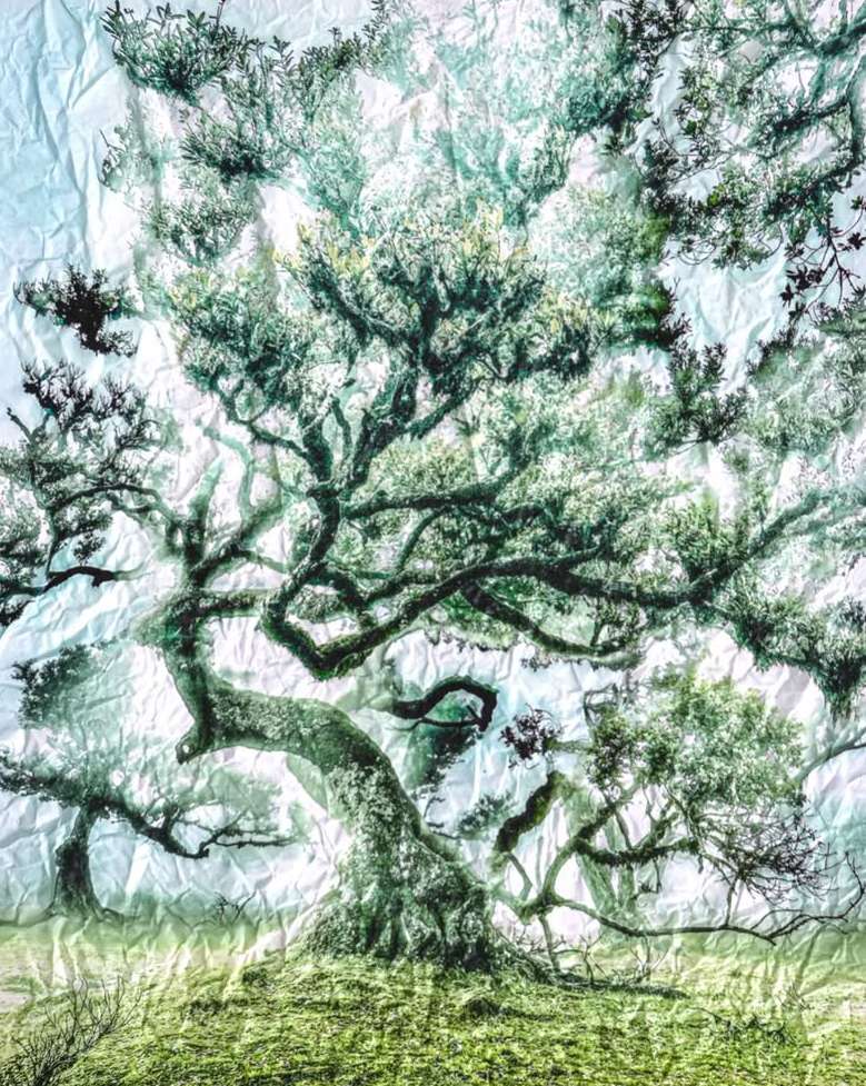 a ppr oc he |  Oct. 25