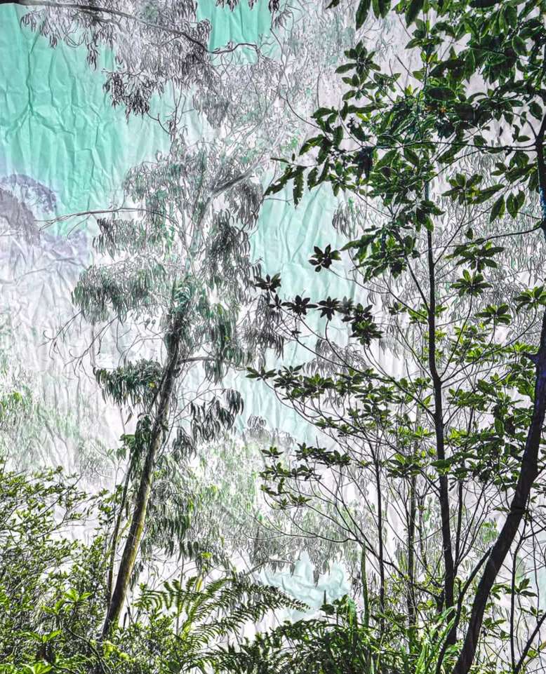 a ppr oc he |  Oct. 25