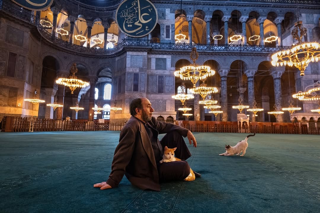 Steve McCurry