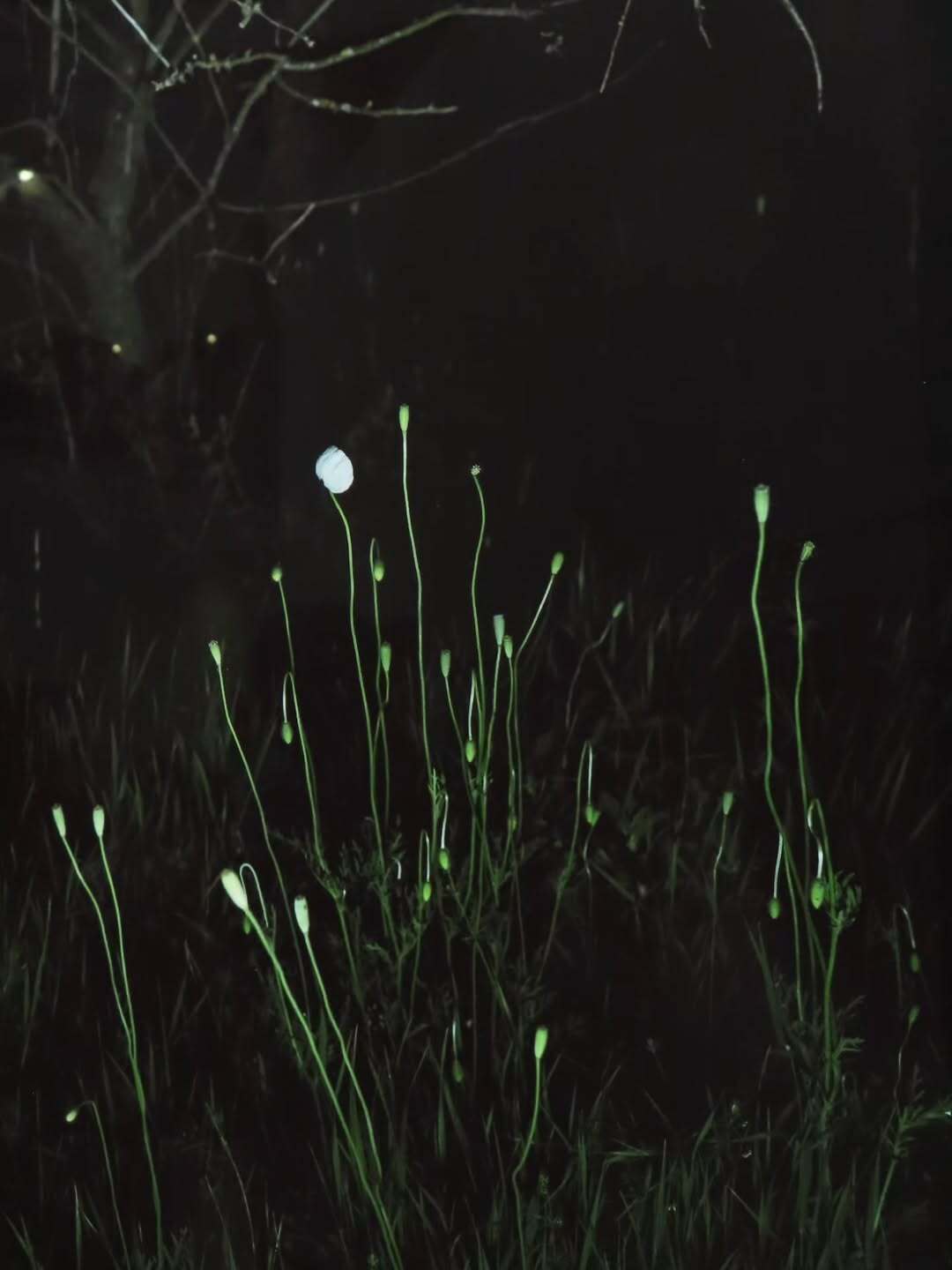 La Team Daguerre a passé quelques heures au cœur...