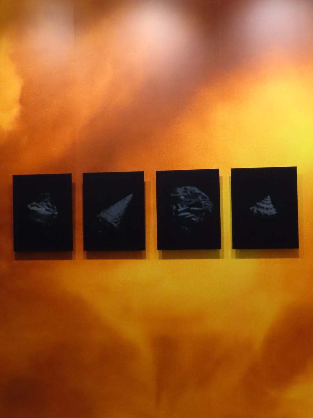 La Team Daguerre a passé quelques heures au cœur...