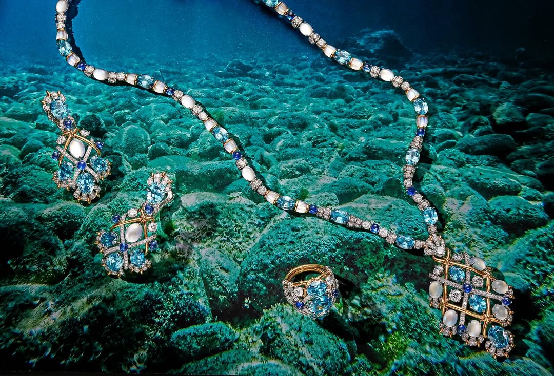 GRAZIA USA |  Nov. 25