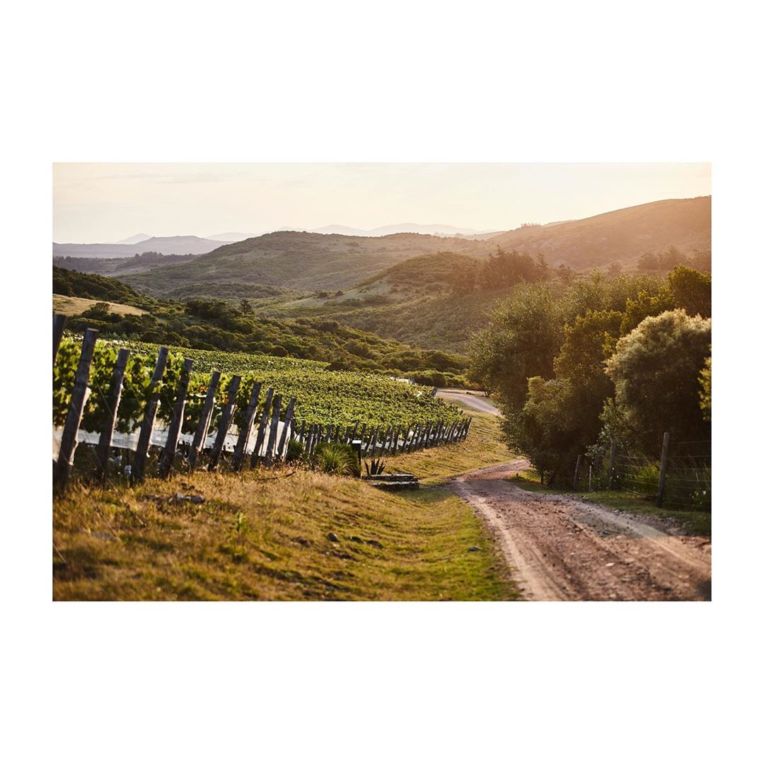 Travel + Leisure |  Aug. 20