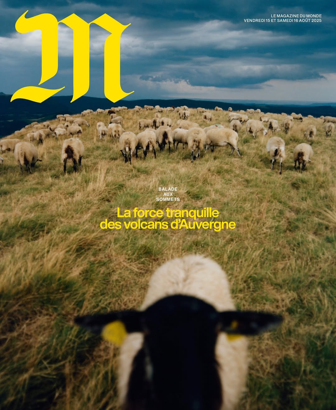 M Le Monde |  Aug. 25