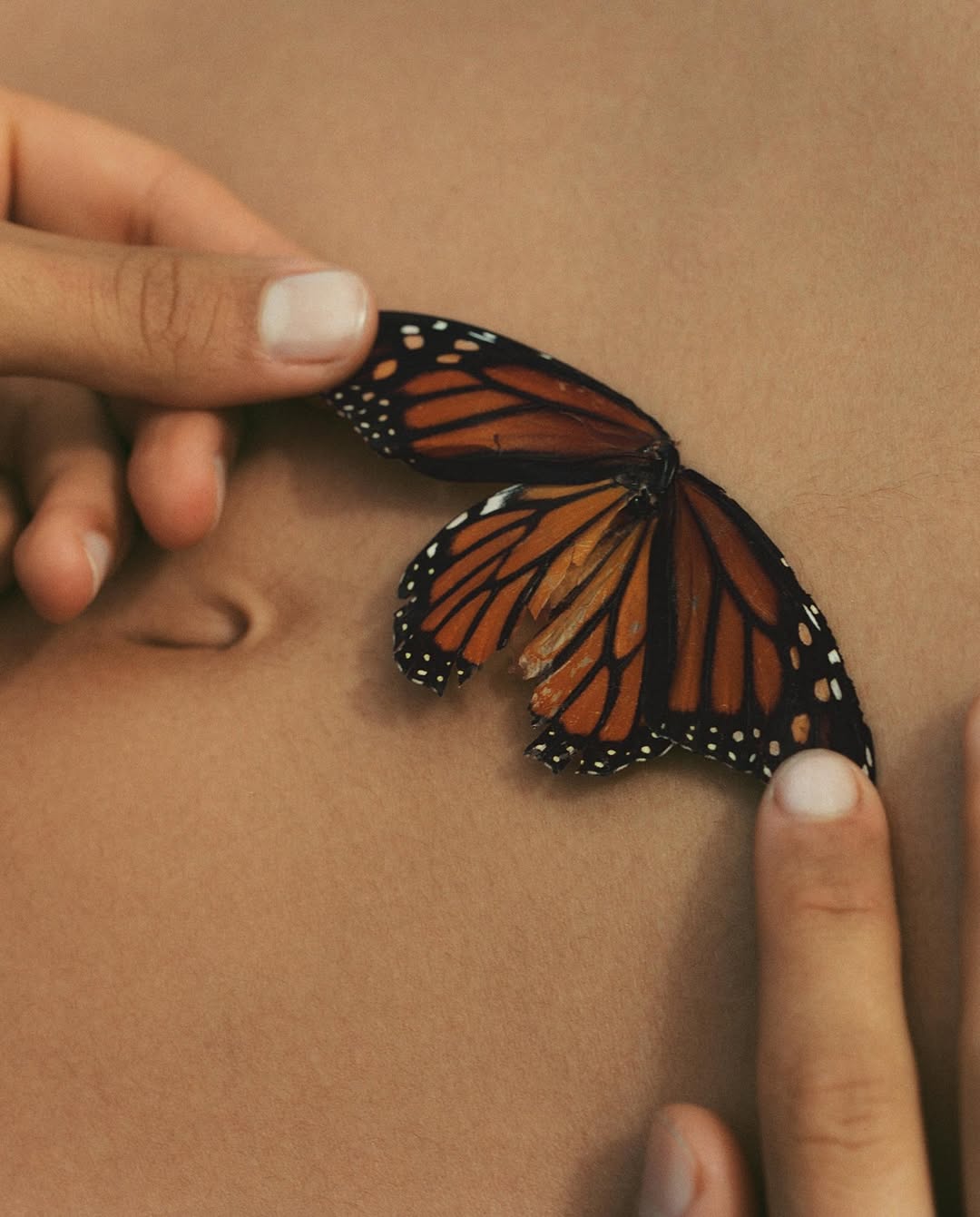 Submission Beauty |  Oct. 25