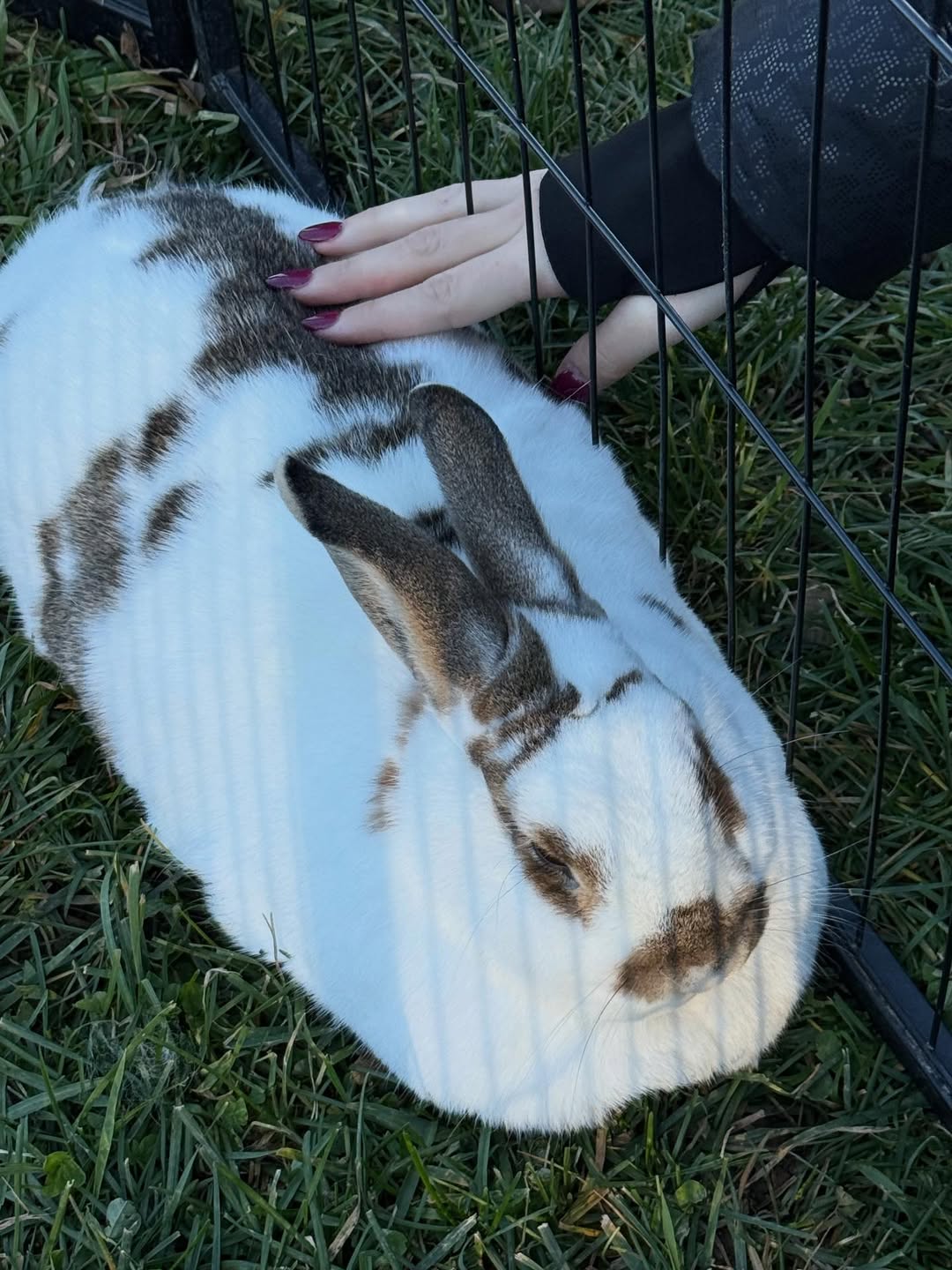 @sashaaeb @zoe_hallett @jaynewexler @lia_m_f_h @ja...