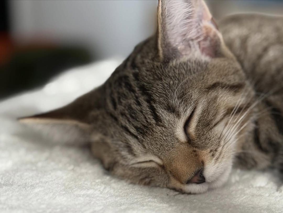 Was a pretty good one!