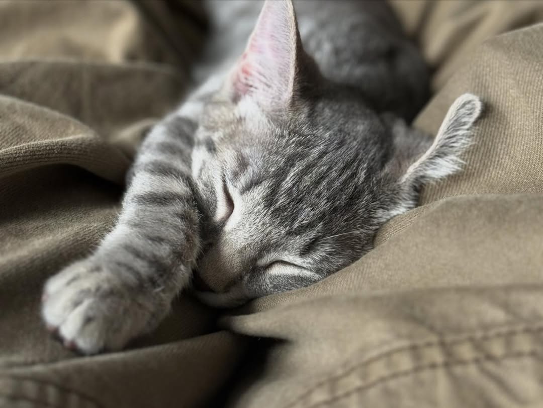 Was a pretty good one!