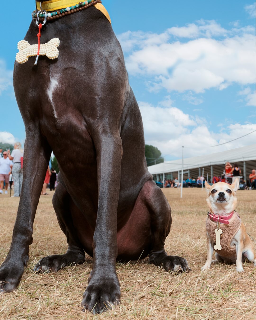 Bimba Y Lola |  Jul. 25