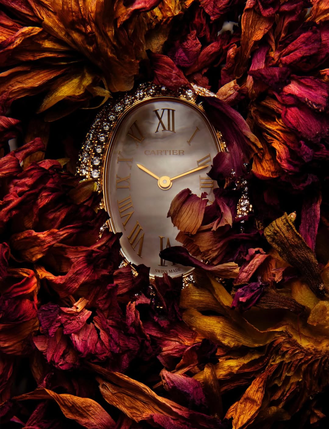 Numero Magazine |  Dec. 25