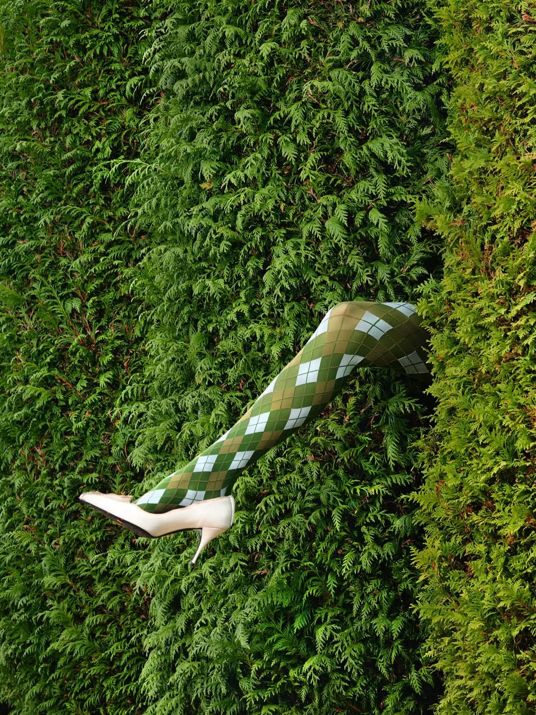 Anuschka Blommers & Niels Schumm X The Plant