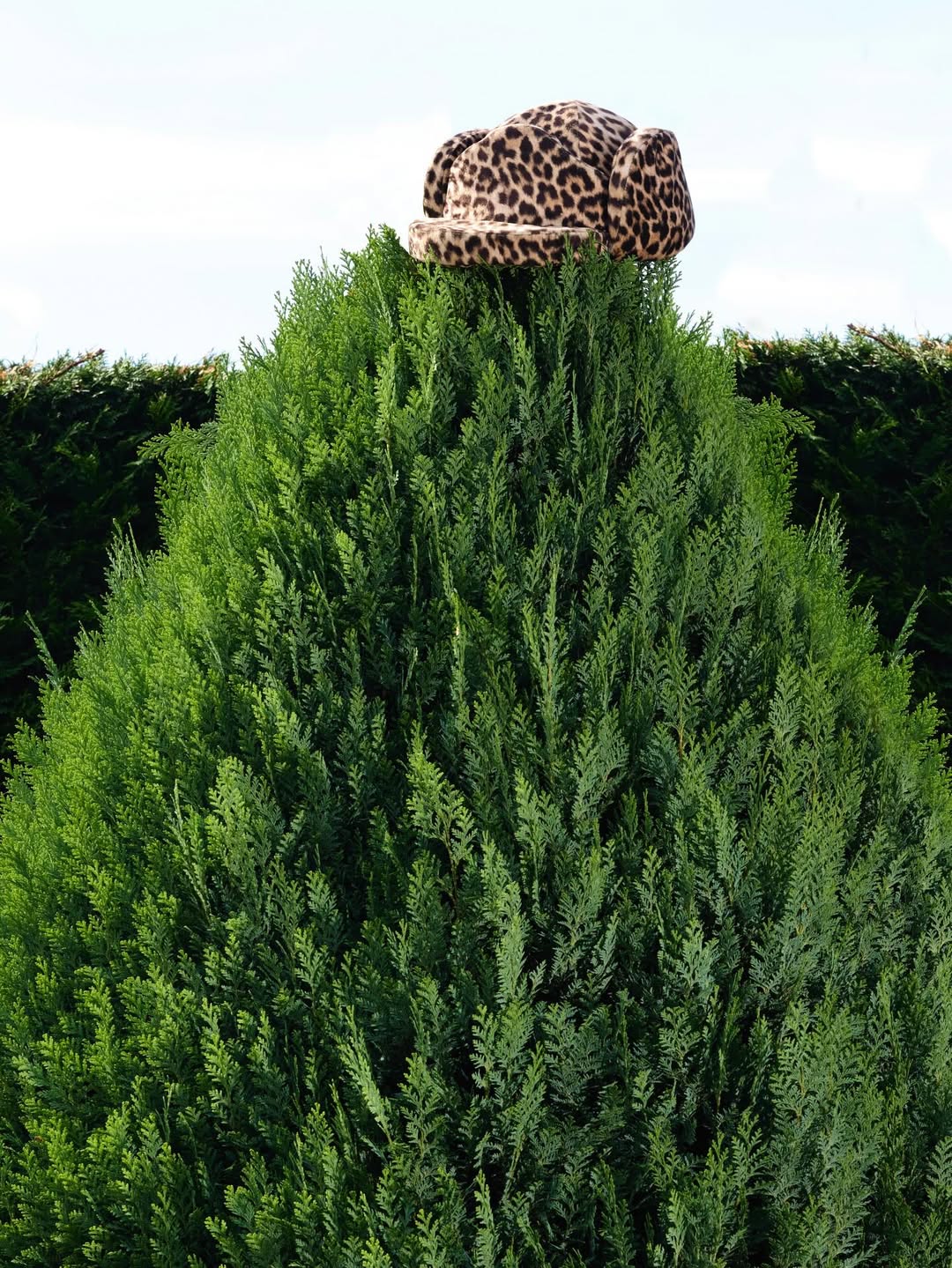 The Plant |  Dec. 25