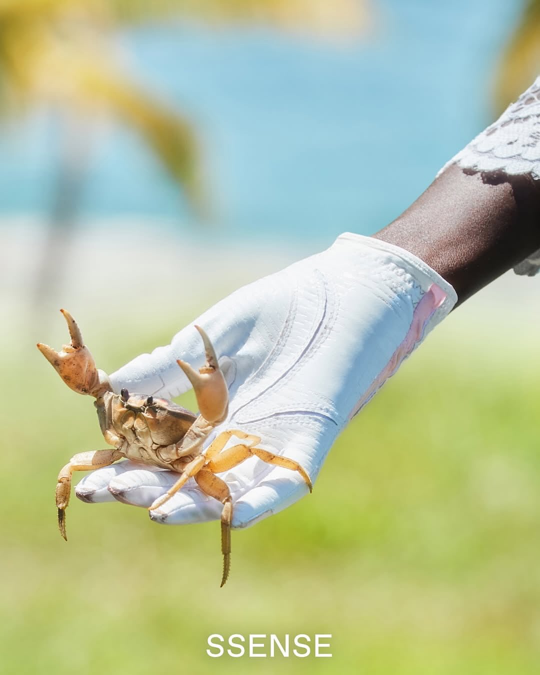 @ssense x @fourseasons