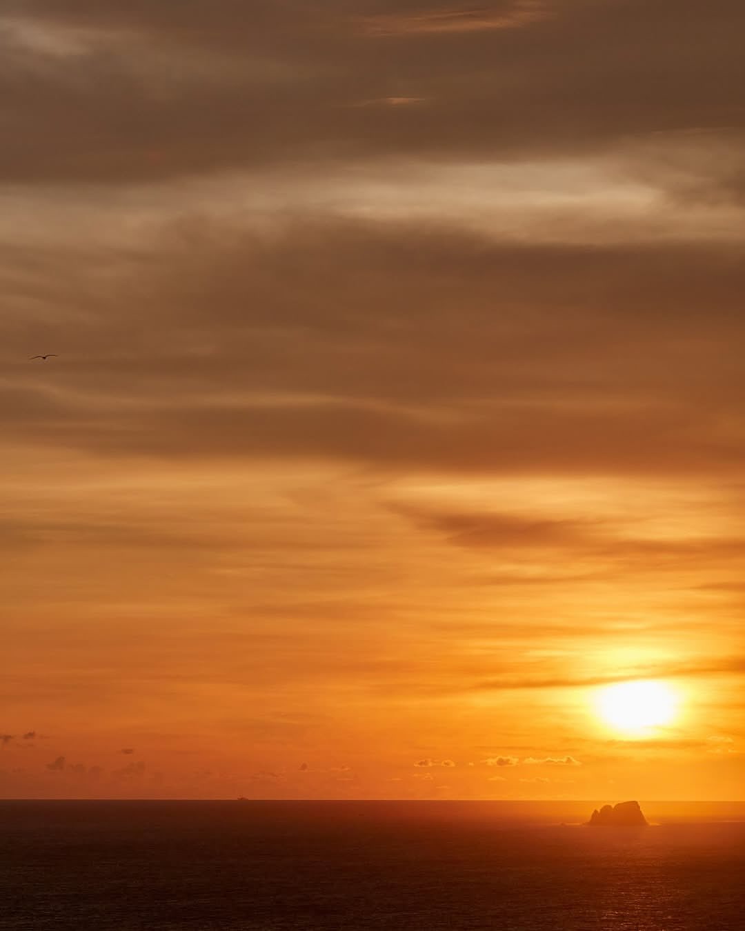 @ssense x @fourseasons